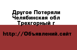 Другое Потеряли. Челябинская обл.,Трехгорный г.